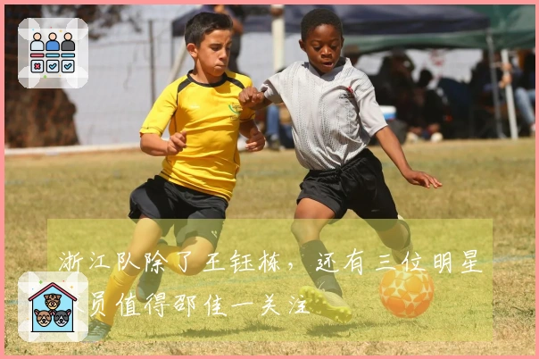 浙江队除了王钰栋，还有三位明星球员值得邵佳一关注