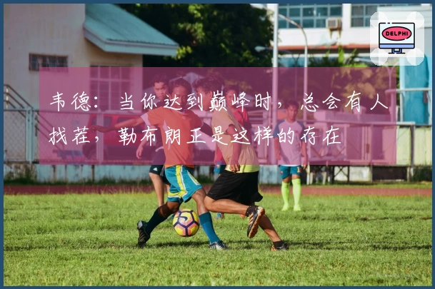 韦德：当你达到巅峰时，总会有人找茬，勒布朗正是这样的存在